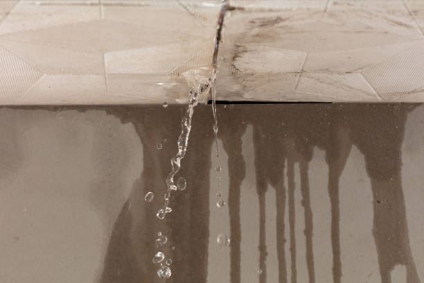 Professional Water Damage Repair technician working in Blum, TX